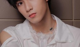 刘耀文家人爆料视频播放,揭秘背后真相