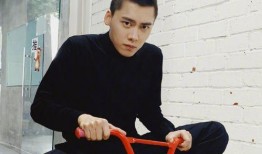 圈内爆料的李易峰是谁,圈内爆料揭示明星背后的故事